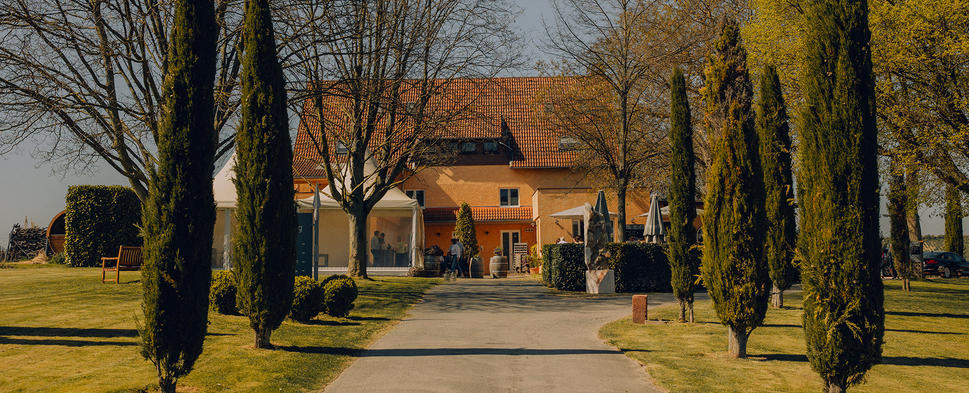 Einfahrt zum Weingut Gehring in Nierstein - Willkommen
